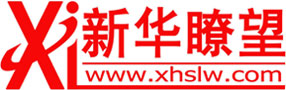 新華瞭望網